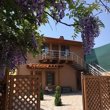 Holiday House Villa Berehove  Ngoại thất bức ảnh