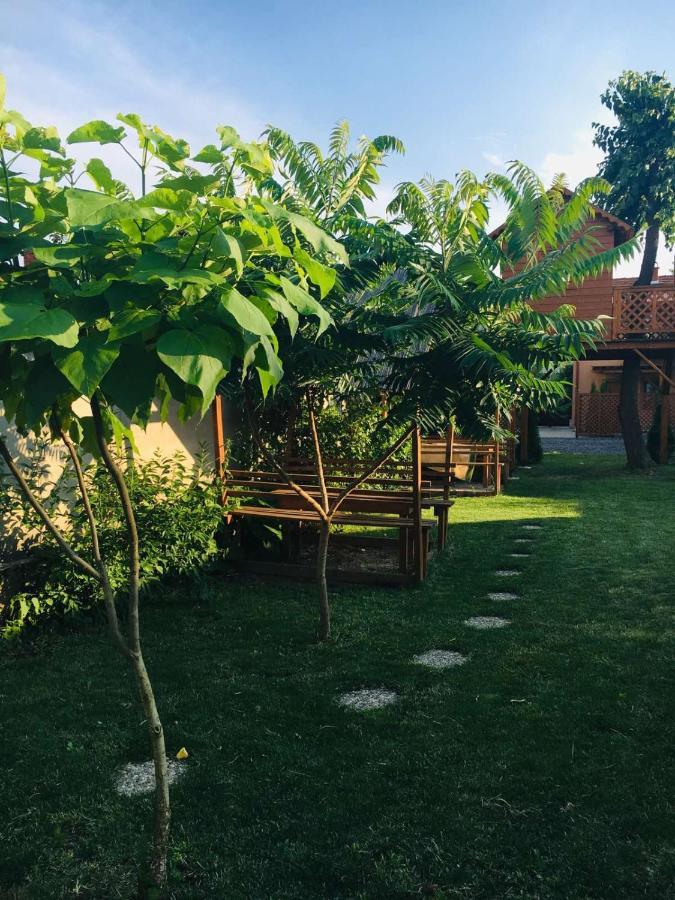 Holiday House Villa Berehove  Ngoại thất bức ảnh