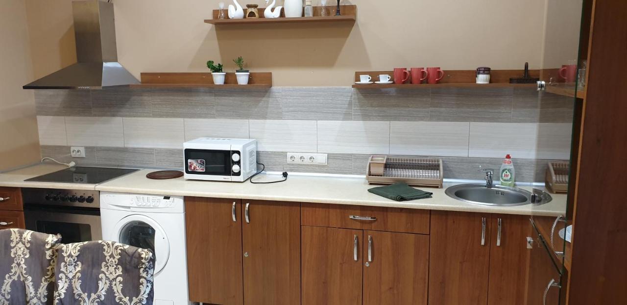 Holiday House Villa Berehove  Ngoại thất bức ảnh